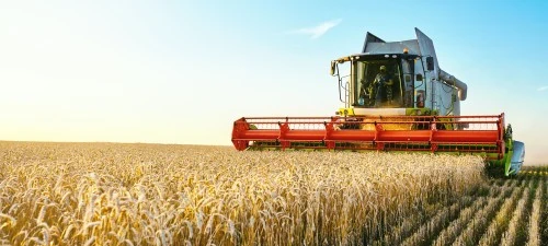 Agriculture
